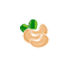 Cashew