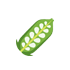 Sesame Seeds