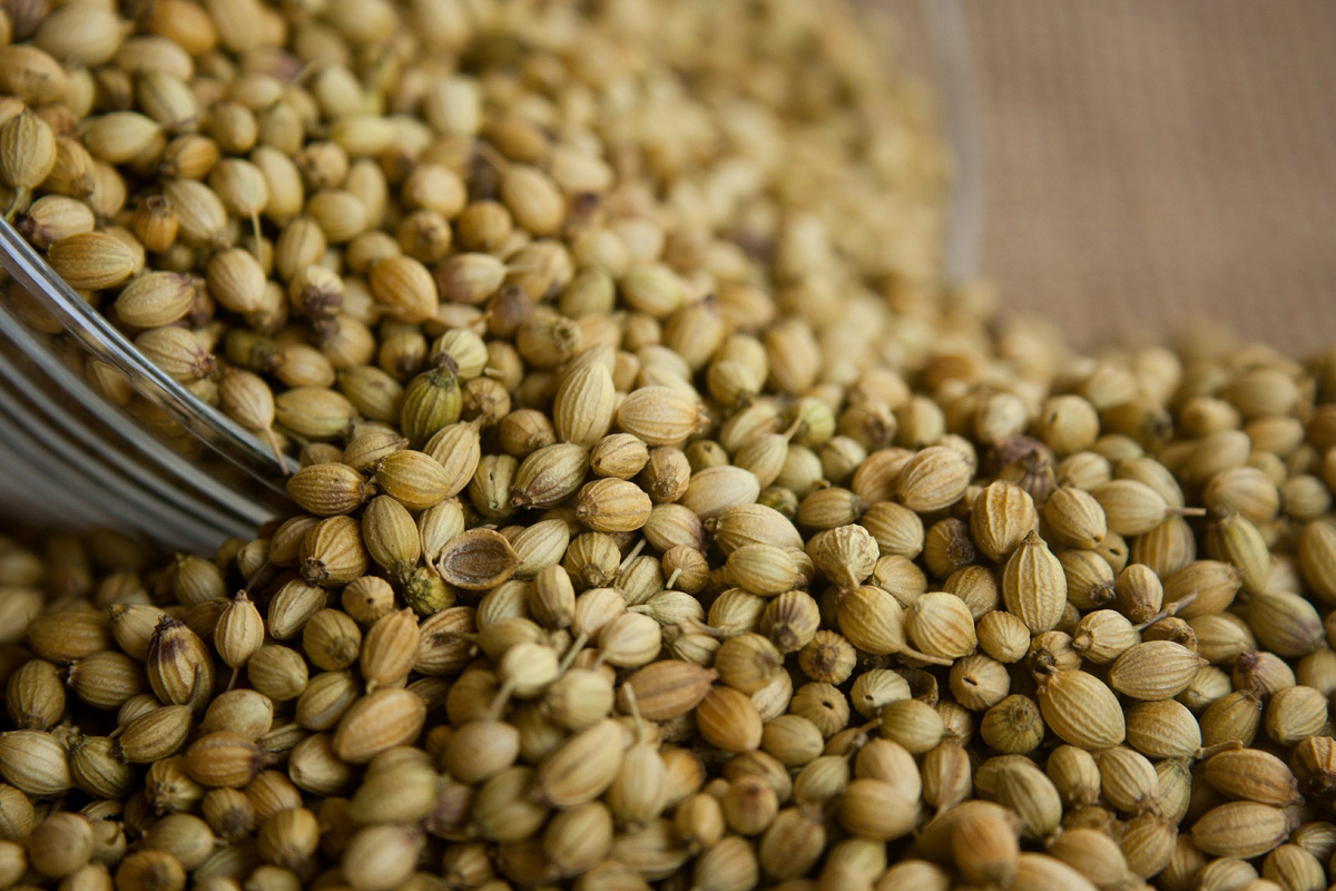 Coriander Seeds