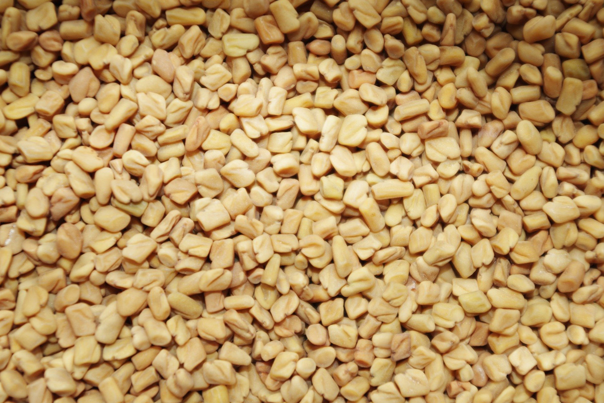 Fenugreek Seeds