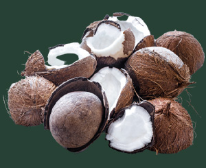 Coir Products