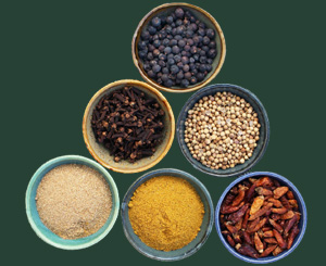V T Impex Spices
